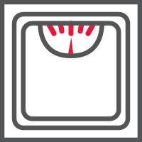 Scale Icon